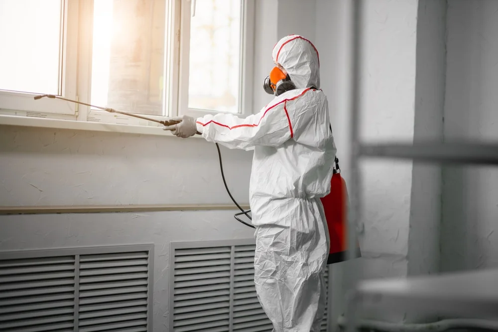 Professional mold remediation services in Preston, CT